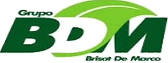 Grupo BDM
